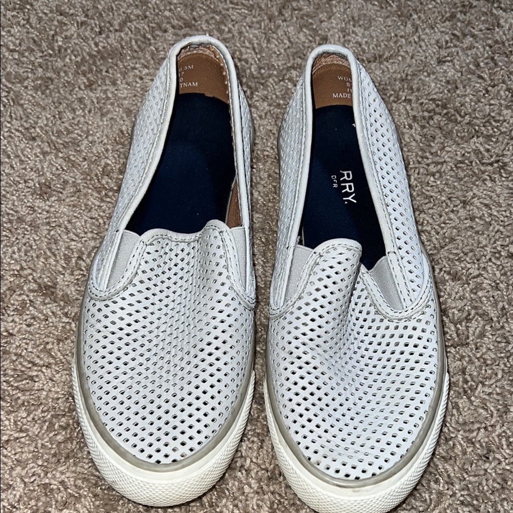 Sperry slip on casual sneaker